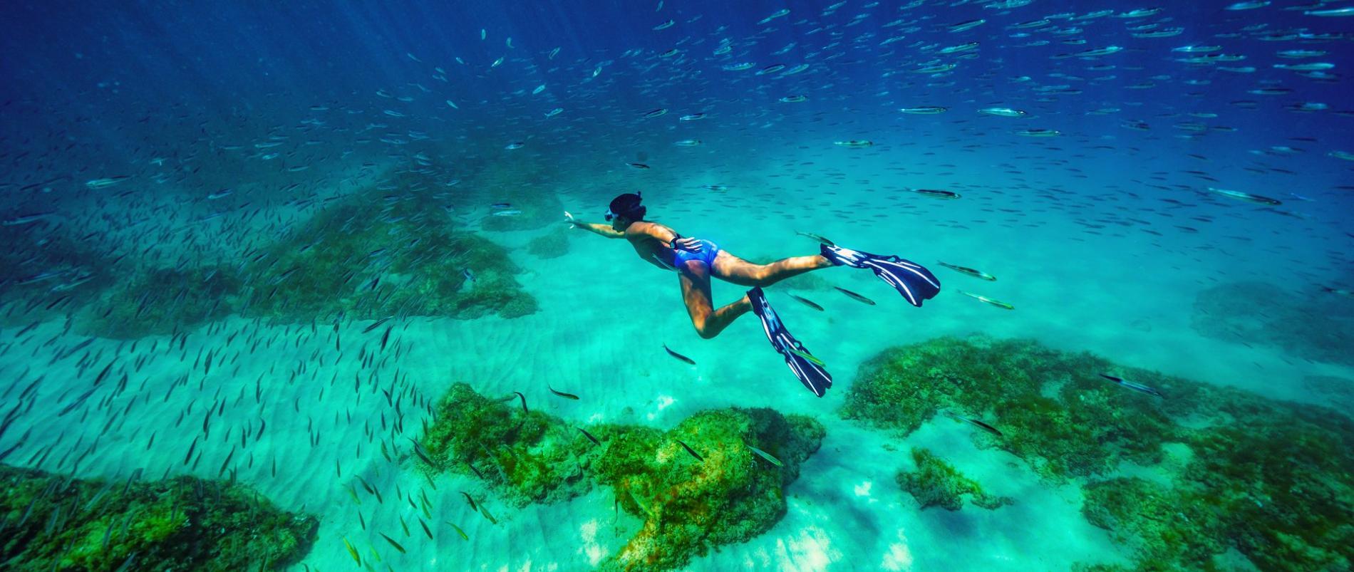 Snorkeling adventure